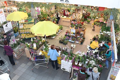 Blumenhof Griem, Blumenladen in Ribnitz-Damgarten