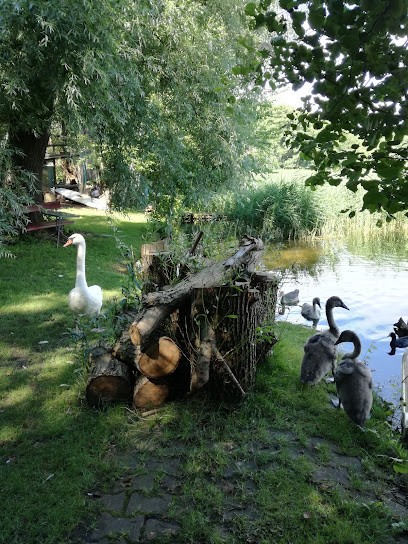 Hummitzsch Blumenshop, Blumenladen in Zossen
