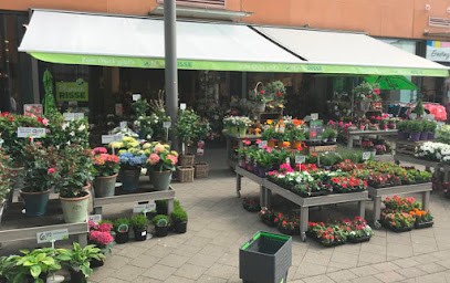 Blumen Risse Blumenladen Oberhausen, Blumenladen in Oberhausen