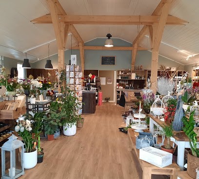 Bloom`s Blumen, Dekoration & Wein, Blumenladen in Kyritz