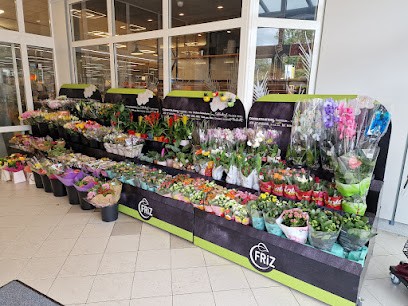 Blumen-Pavillon Zonneveld, L., Blumenladen in Uelsen