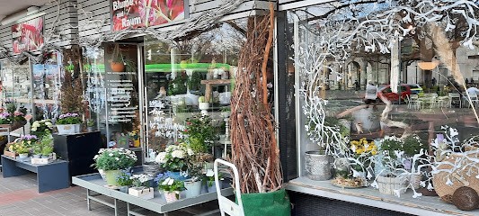 Blume und Raum, Blumenladen in Hannover