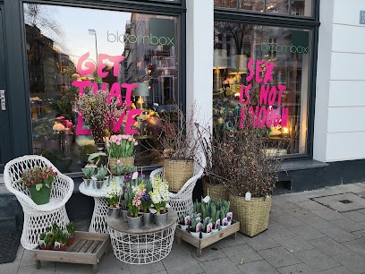 bloombox, Blumenladen in Düsseldorf