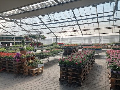 Floraque Stauden & Zierpflanzen GmbH, Blumenladen in Quedlinburg