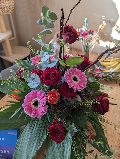 Maxi Flora, Blumenladen in Greifswald