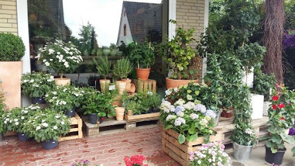 Blumen Wohlers Inh. Kathrin Schöning, Blumenladen in Flintbek