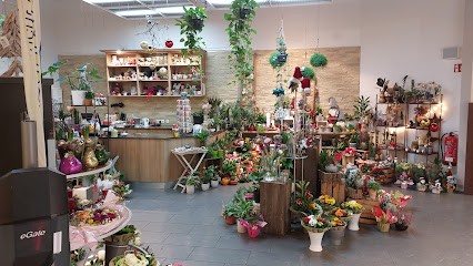 Blumen Heselmann, Blumenladen in Kleve