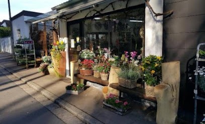 Kathrins Blumenstübchen, Blumenladen in Neunkirchen