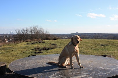 Veronika Heilbock, Blumenladen in Sankt Peter
