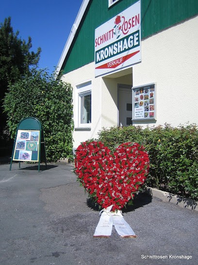 Rosen Kronshage Schnittrosen, Blumenladen in Drensteinfurt