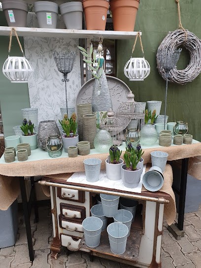 Gärtnerei Lanz Hess , Inh.Tanja Graf, Blumenladen in Simmertal