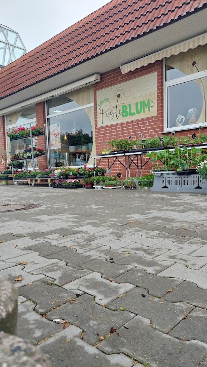 CHRISTIAN´s PusteBLUMe, Blumenladen in Meuselwitz