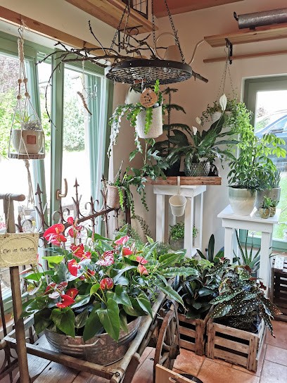 Blumen Und Ideen, Blumenladen in Pockau-Lengefeld