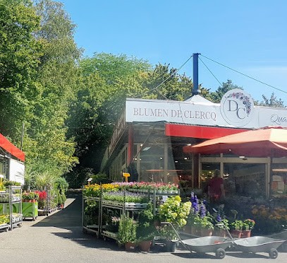 Blumen de Clercq GmbH, Blumenladen in Aachen