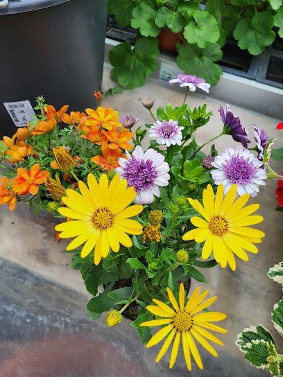 Mereis GmbH, Blumenladen in Bad Wiessee