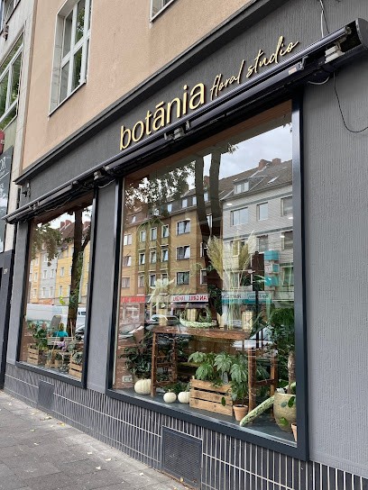 botania floral studio, Blumenladen in Köln