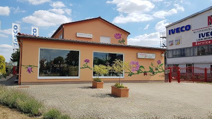 Wildrose - Kreative Floristik, Blumenladen in Seelow
