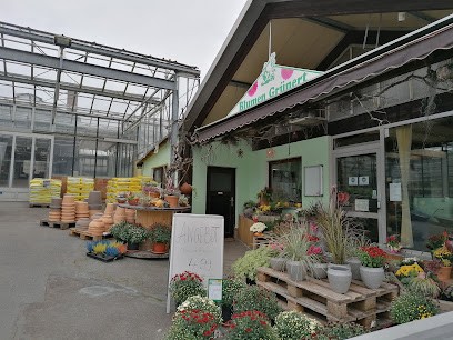 Blumen Grünert, Blumenladen in Hof