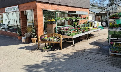 Alfred Verse Friedhofsgärtnerei, Blumenladen in Gelsenkirchen
