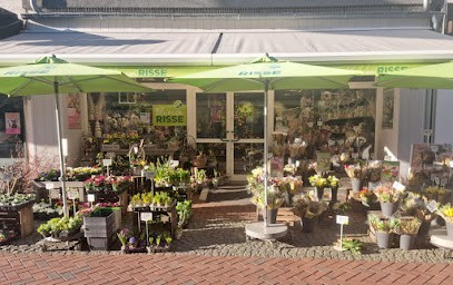 Blumen Risse Blumenladen Dinslaken, Blumenladen in Dinslaken