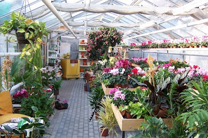 Gartenbau Trautzsch Kathrin Schulz, Blumenladen in Pockau-Lengefeld