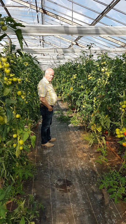 Rosen Michel, Blumenladen in Dollern