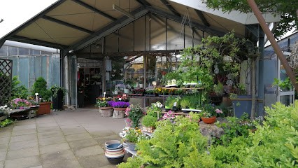 Gäbke C. - Harsum, Blumenladen in Harsum