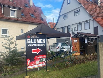 Passion-Blumen, Blumenladen in Kusterdingen