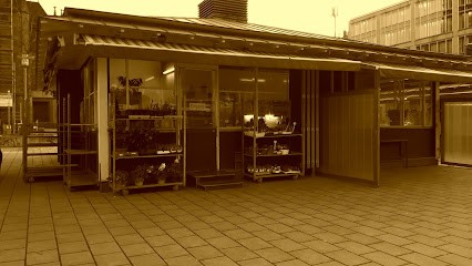 Blumen und mehr Düsseldorf Kirchplatz, Blumenladen in Düsseldorf