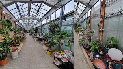 Gärtnerei Blumen Haab, Blumenladen in Markt Wald