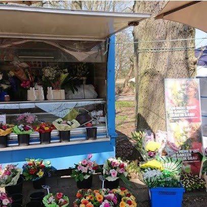 Blumenstand B73 Buxtehude/Ovelgönne, Blumenladen in Buxtehude