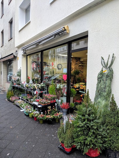 Blumen Rose de la vie Düsseldorf, Blumenladen in Düsseldorf