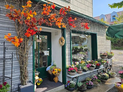 ANNA BINAR FLORISTIK, Blumenladen in Feldafing