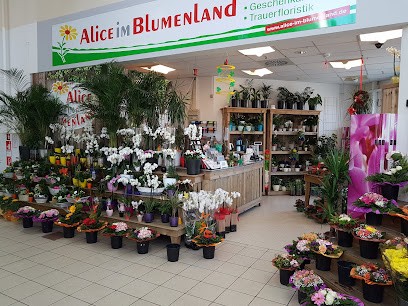 Alice im Blumenland, Blumenladen in Bedburg