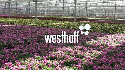 Westflowers - Westhoff Vertriebsges. MbH, Blumenladen in Südlohn
