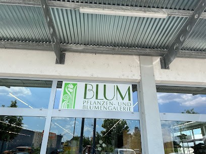 Blum Pflanzen U. Blumengalerie Inh. Sebastian Blum, Blumenladen in Bruchköbel