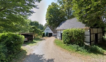 Shiny Flower, Blumenladen in Solingen