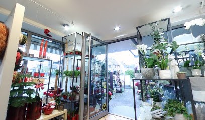 Blumenhaus Stach, Blumenladen in Sindelfingen