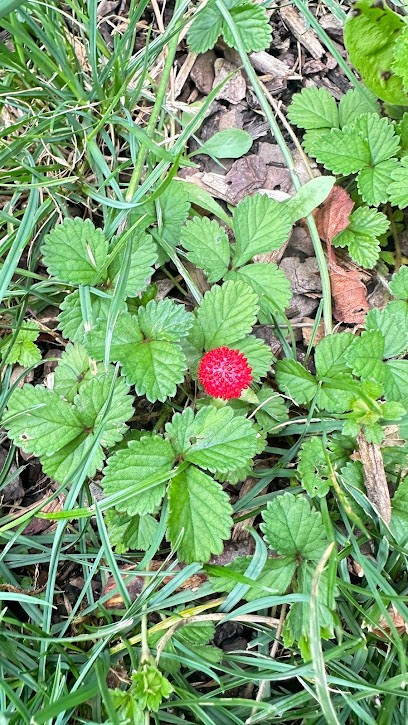 Blumengeschäft Reinhart, Blumenladen in Augsburg