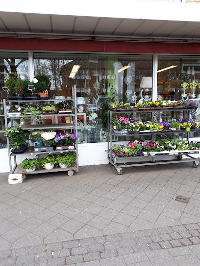 Blumenhaus Leo Korda E.K., Blumenladen in Dorsten