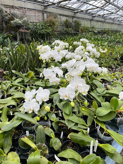 Orchids & More, Blumenladen in Ismaning