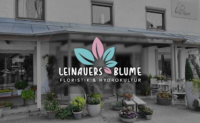 Leinauers Blume Peiting, Blumenladen in Peiting