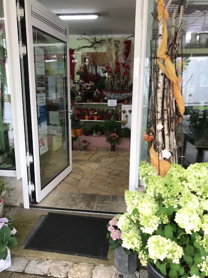 Blumen Haas, Blumenladen in Mindelheim