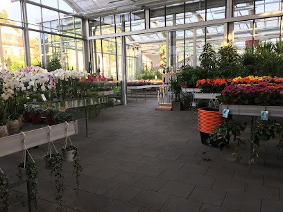 Blumen Haug, Blumenladen in Rielasingen-Worblingen