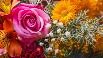 Blumen-Kühnlein am Südfriedhof, Blumenladen in Bayreuth