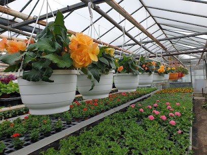 Gärtnerei Stachel, Blumenladen in Stade