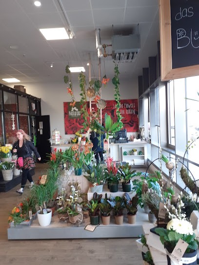 Bart & Bastian Shops St. Wendel, Blumenladen in Sankt Wendel