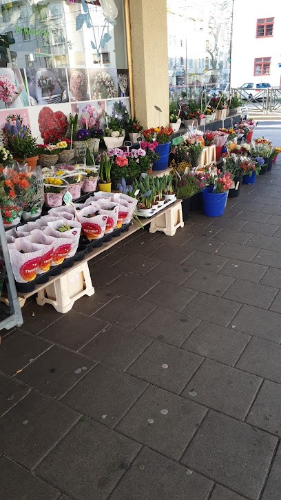 BlumenHaus, Blumenladen in Köln