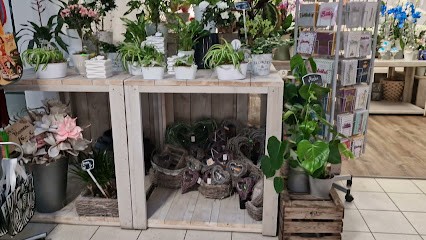 Holland Blumen by Steve, Blumenladen in Augsburg