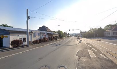 Chemnitzer blumenring Einzelhandels GmbH, Blumenladen in Plauen